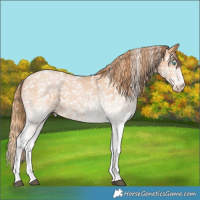 Horse Color:White Spotted Bay Pearl Snowflake Varnish