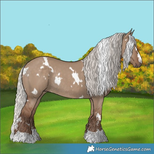 Horse Color:White Spotted Silver Grullo Rabicano 