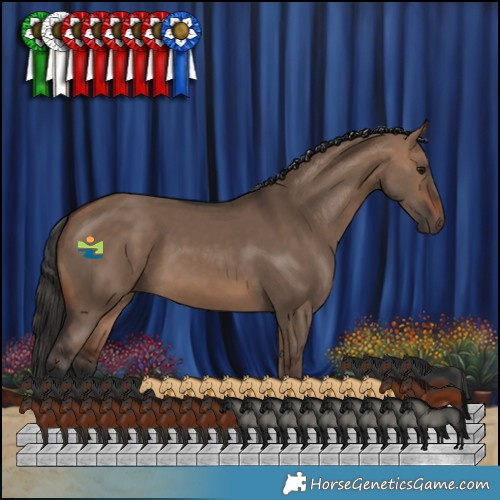 Horse Color:Brown Dun