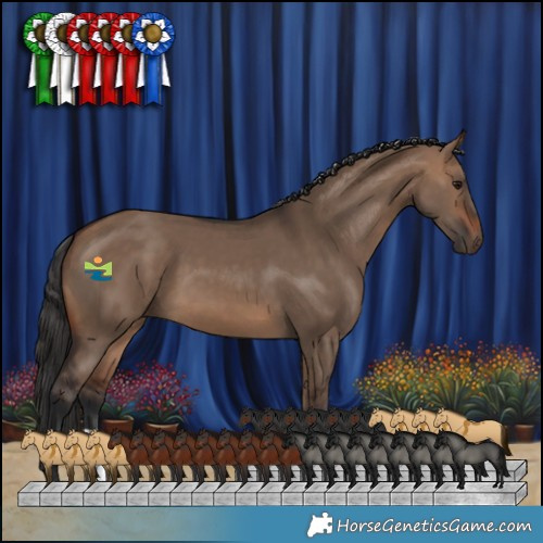 Horse Color:Brown Dun 