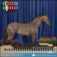 Horse Color:Brown Dun 