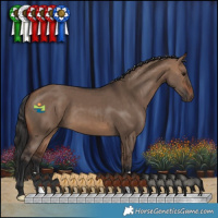 Horse Color:Brown Dun 