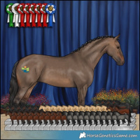 Horse Color:Brown Dun 