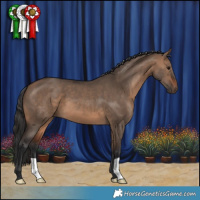 Horse Color:Brown Dun 