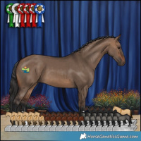Horse Color:Brown Dun 