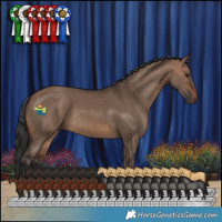 Horse Color:Brown Dun 