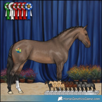 Horse Color:Brown Dun