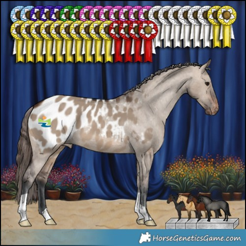 Horse Color:Brown Dun Blanket 