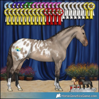 Horse Color:Brown Dun Blanket 