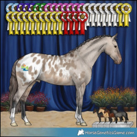 Horse Color:Brown Dun Blanket 