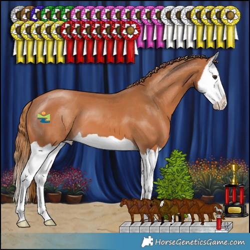Horse Color:Chestnut Splash 