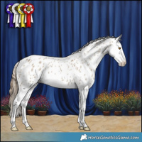 Horse Color:Classic Cream Champagne Roan Splash Appaloosa 