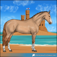 Horse Color:Red Dun 