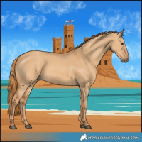 Horse Color:Red Dun