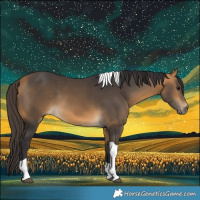 Horse Color:Buckskin Tobiano 