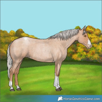 Horse Color:Silver Blue Roan Pearl Tobiano Frame 