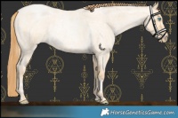 Horse Color:Buckskin Roan Pearl  and Buckskin Roan Pearl 