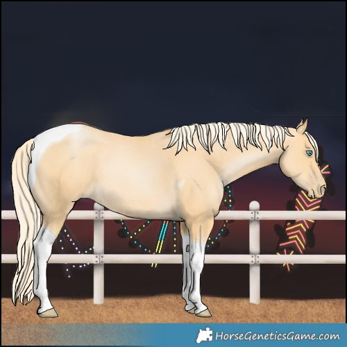 Horse Color:Palomino Pearl Tobiano 