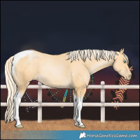 Horse Color:Palomino Pearl Tobiano 