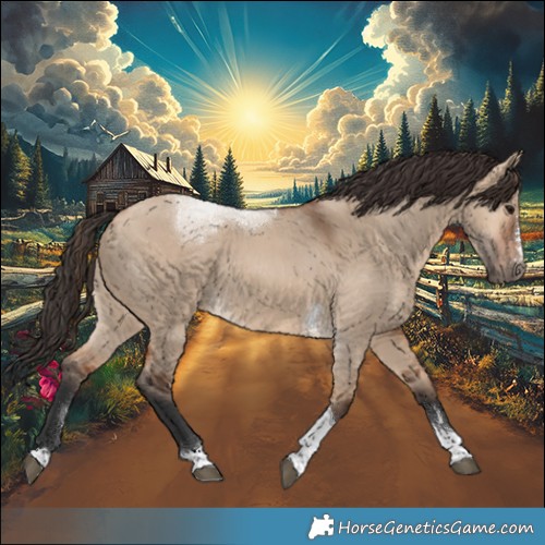 Horse Color:Bay Dun Tobiano 