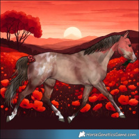 Horse Color:Bay Dun Splash Tobiano Blanket Rabicano 