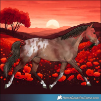 Horse Color:Bay Dun Splash Tobiano Blanket Rabicano 