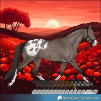 Horse Color:Brown Dun Splash Tobiano Appaloosa Rabicano 