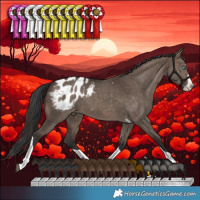 Horse Color:Brown Dun Splash Tobiano Appaloosa Rabicano 