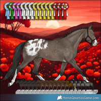 Horse Color:Brown Dun Splash Tobiano Appaloosa Rabicano 