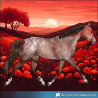 Horse Color:Bay Dun Splash Tobiano Appaloosa Rabicano
