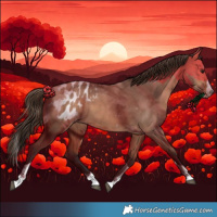 Horse Color:Bay Dun Splash Tobiano Blanket Rabicano 