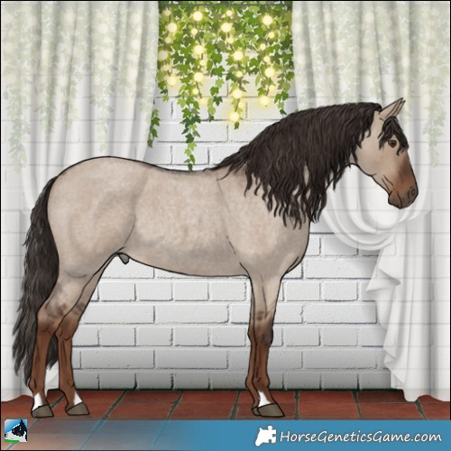 Horse Color:Liver Red Dun Roan Rabicano 