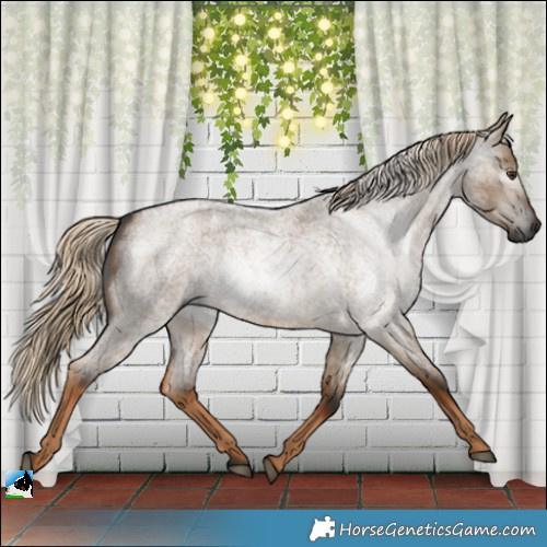 Horse Color:Gray Chocolate Palomino Roan Dun Rabicano