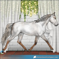 Horse Color:Gray Chocolate Palomino Roan Dun Rabicano 