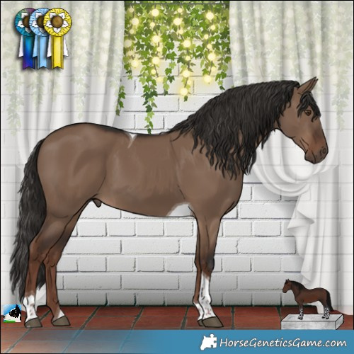Horse Color:Liver Red Dun Tobiano Rabicano 