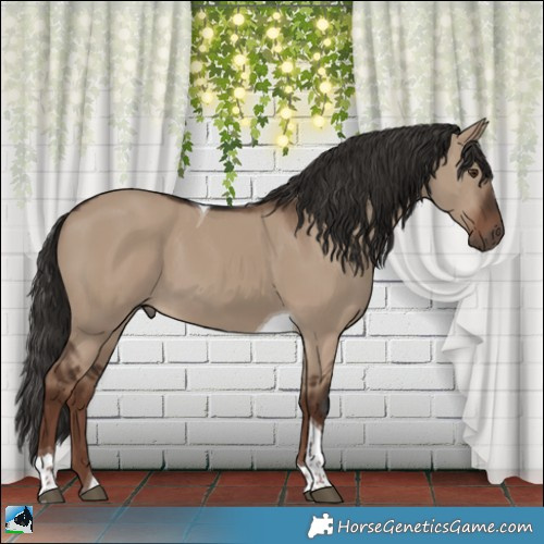 Horse Color:Liver Red Dun Tobiano Rabicano 