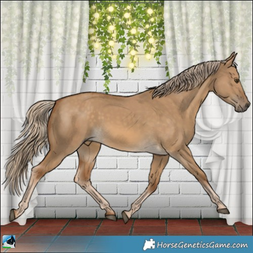 Horse Color:Chocolate Palomino Dun Rabicano 