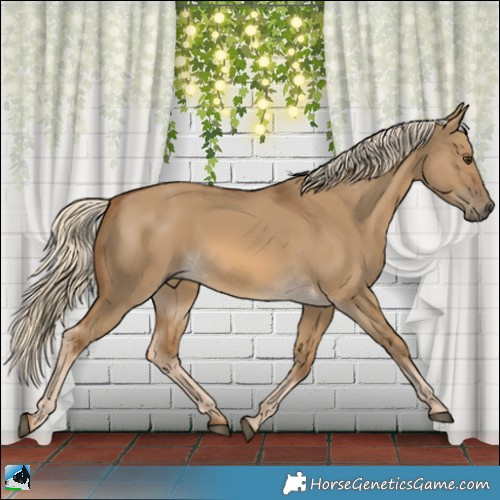 Horse Color:Chocolate Palomino Dun Rabicano 