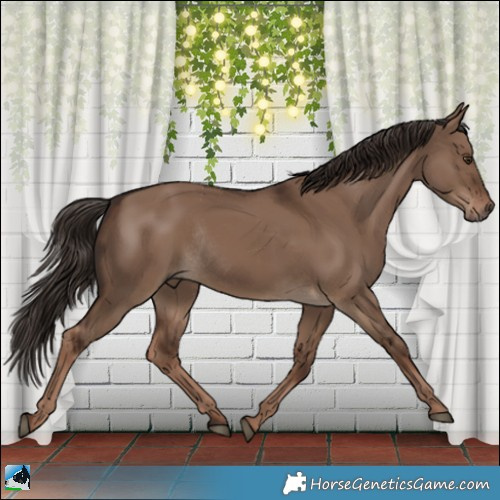 Horse Color:Liver Red Dun Rabicano 