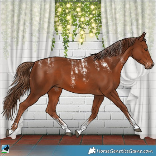 Horse Color:Powder White Chestnut 