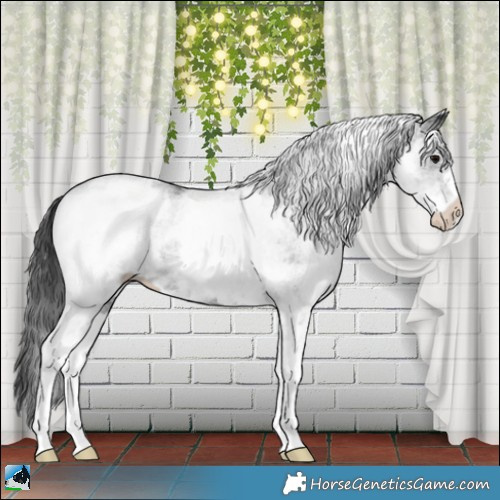 Horse Color:White Spotted Black 