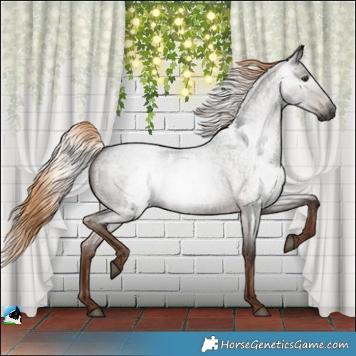 Horse Color:Gray Liver Red Roan