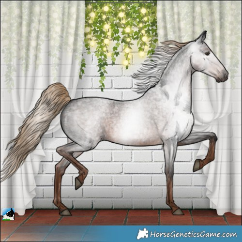 Horse Color:Gray Liver Red Roan