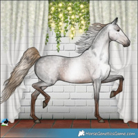 Horse Color:Gray Liver Red Roan 