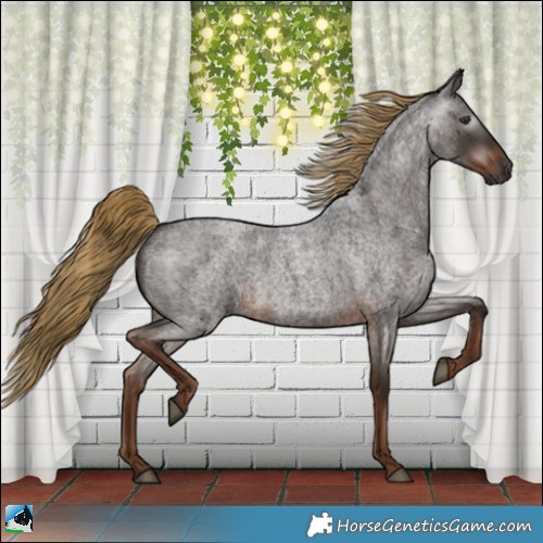 Horse Color:Gray Liver Red Roan