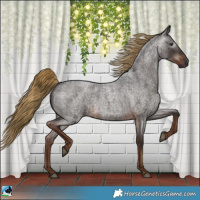Horse Color:Gray Liver Red Roan