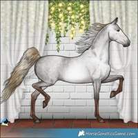 Horse Color:Gray Liver Red Roan 