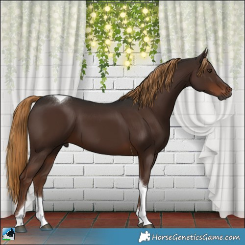Horse Color:Gray Liver Chestnut Tobiano 