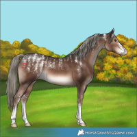 Horse Color:Powder White Liver Chestnut Mushroom