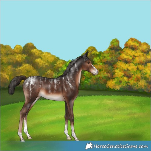 Horse Color:Powder White Liver Chestnut 